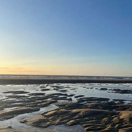 Lumineux Avec Acces Direct A La *