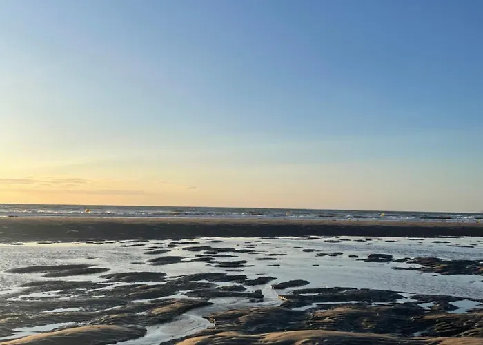 Lumineux Avec Acces Direct A La *