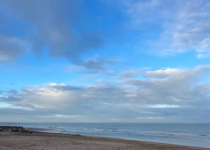 Lumineux Avec Acces Direct A La